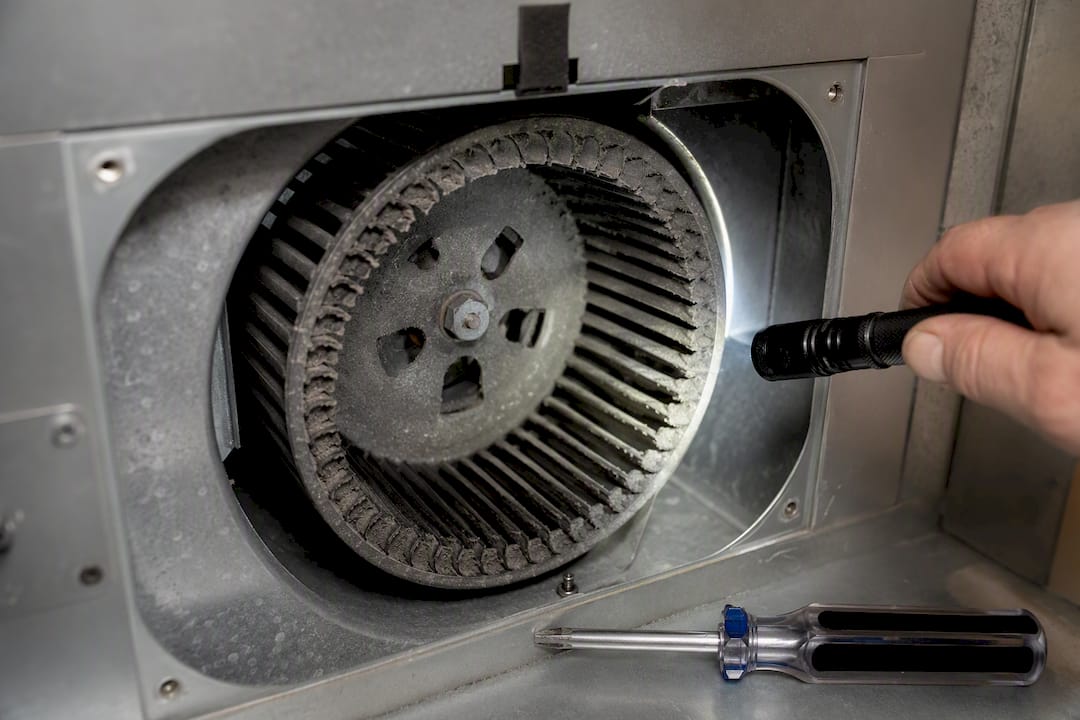 Homeowner inspecting an AC blower wheel